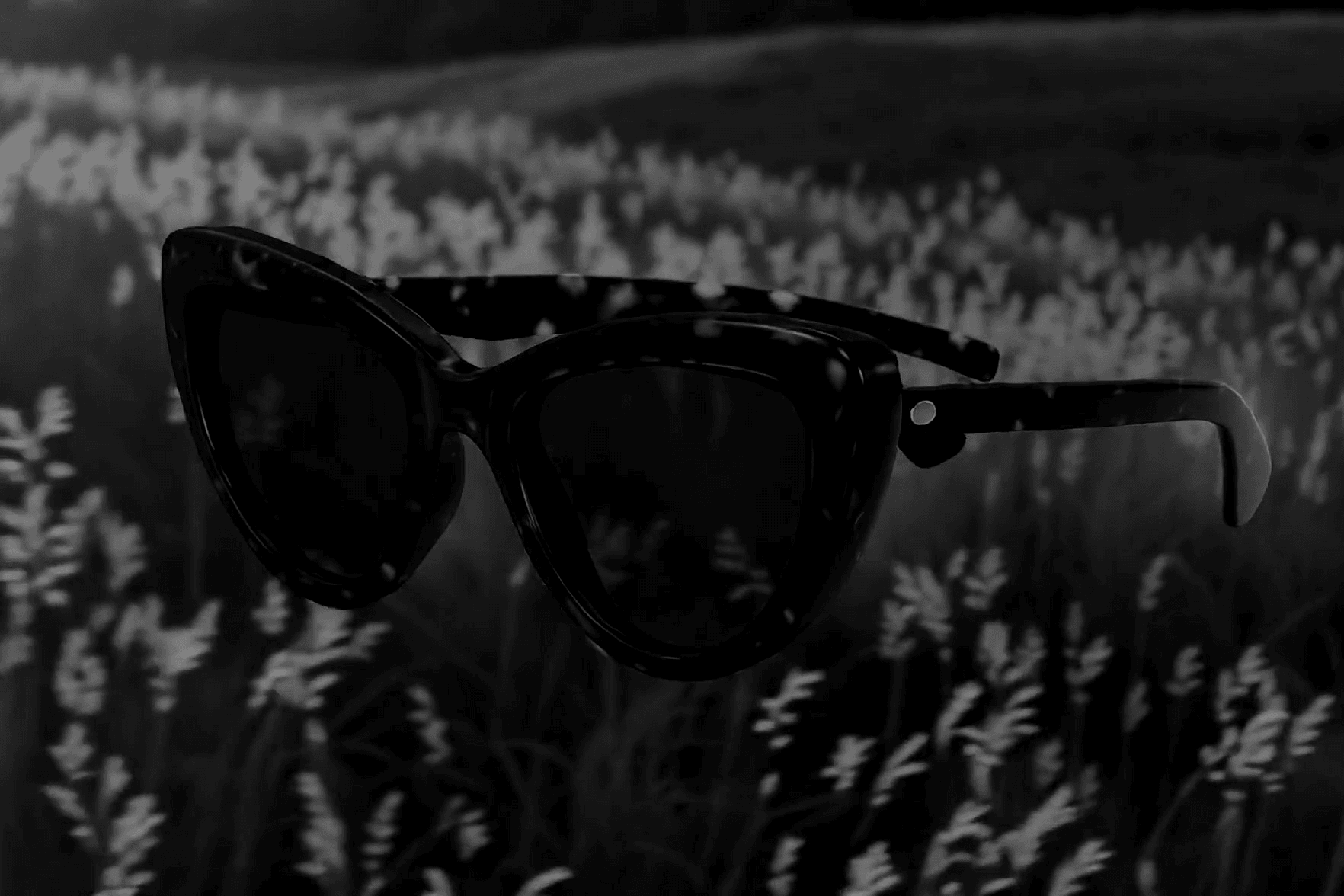 BUTTERFLY NOIR